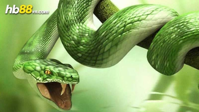 Mơ thấy nhiều rắn hổ mang đánh con gì cho chính xác nhất?
