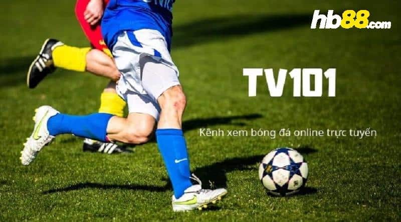 Link xem trực tiếp bóng đá miễn phí tại Tv101 vn